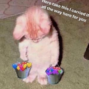 日本性感少妇性爱
