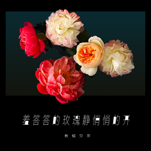 日本性感少妇性爱
