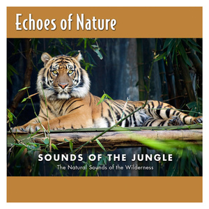 日本性感少妇性爱
